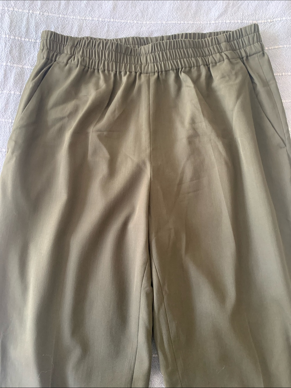 Everlane The Italian GoWeave Easy Pant in Surplus